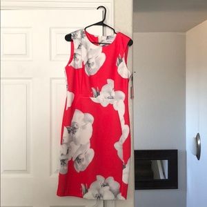 Calvin Klein Dress Size 12